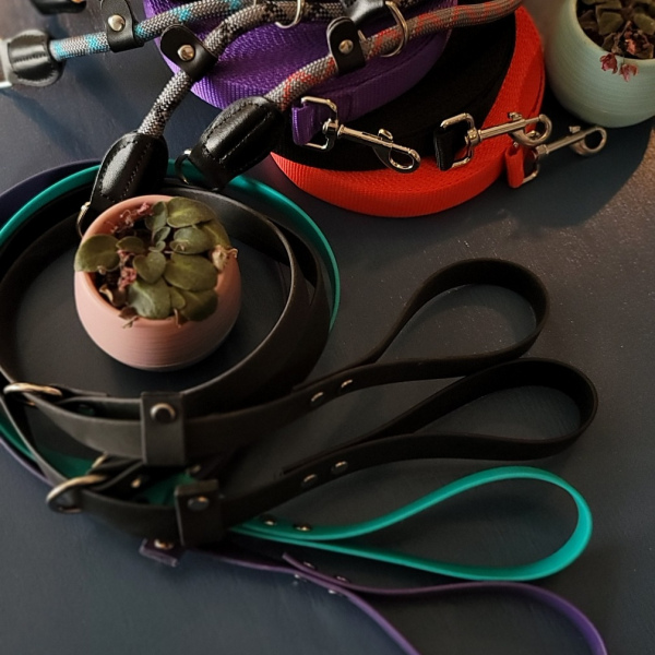 BioThane Slip Lead Purple