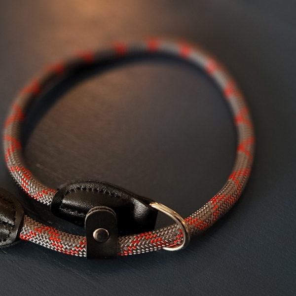 Rope Slip Lead Red