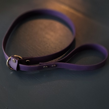BioThane Slip Lead Purple