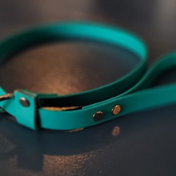 BioThane Slip Lead Blue